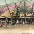 絵葉書　東京　上野公園の桜　手彩色カラー　菊貼欧文印押し