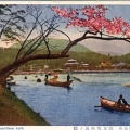 絵葉書　京都　嵐山船渡し場付近の桜　カラー