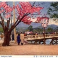 絵葉書　京都　嵐山中島公園の桜　カラー