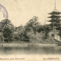 絵葉書　奈良　奈良公園猿沢之池　菊5厘貼特印押