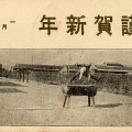 ս񡡷ʼ262⡡ķϡǯŽ