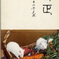 絵葉書　年賀状　野菜と白ネズミ　カラー　使用済