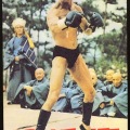 ս񡡷ǽ֥롼꡼BRUCE LEE2