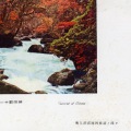 絵葉書　青森　国立公園十和田湖　奥入瀬渓流阿修羅の流れ　カラー