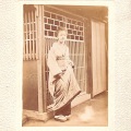 古写真　3人の女性　水海道武蔵屋