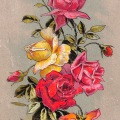 絵葉書　植物　バラの花　イラストカラー