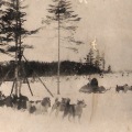 絵葉書　樺太　樺太の犬橇