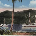 絵葉書　南洋　ニューギニアに碇泊せる社船　カラー