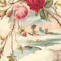 絵葉書　生物　バラの花と冬景色　イラストカラー　米切手貼実逓便