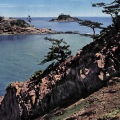 絵葉書　徳島　国立公園鳴門　裸島と飛島　カラー　おしどり5円貼実逓便